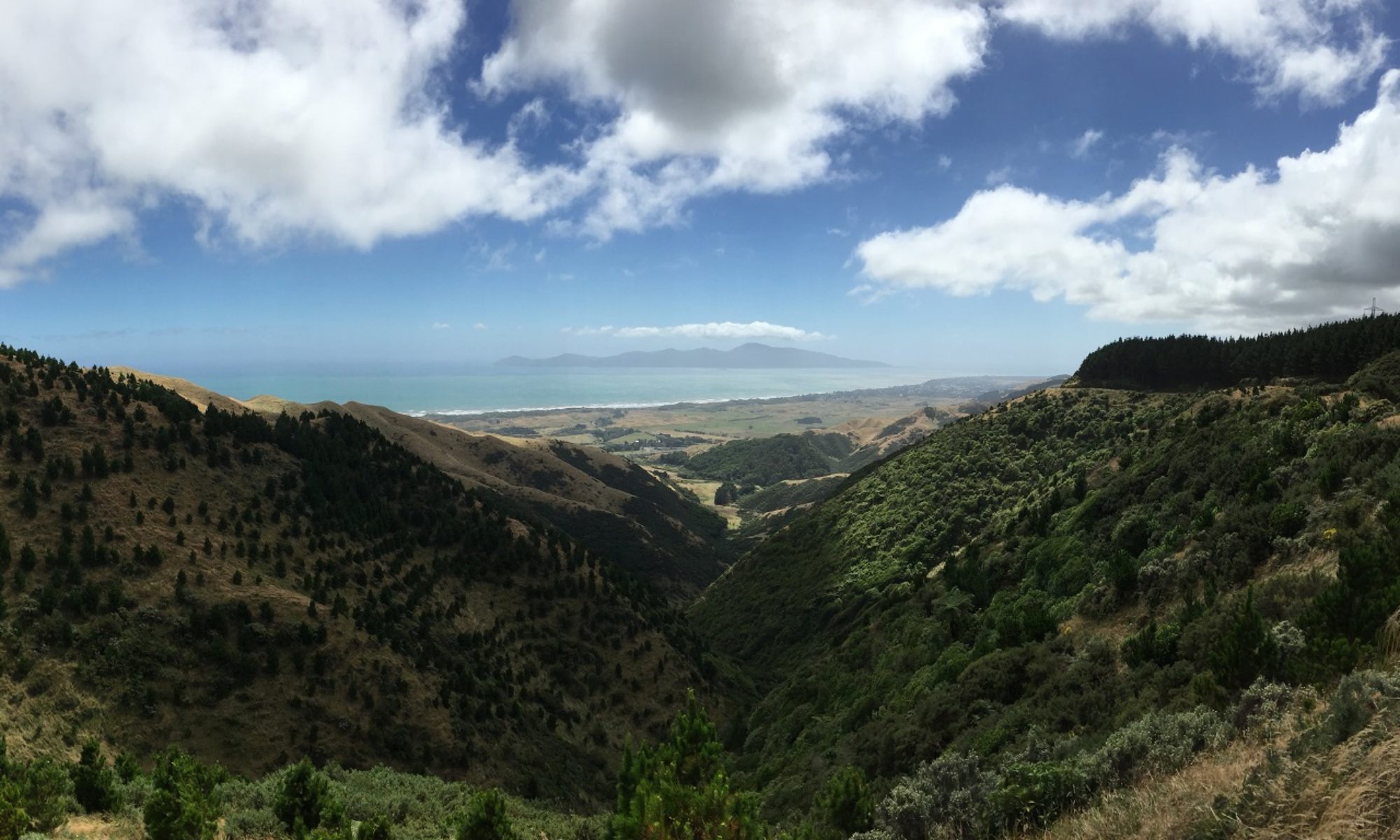 Raumati Osteopathic Clinic